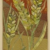 Barley