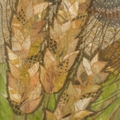 Wheat