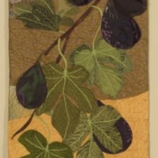 Fig