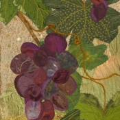 Grapes