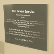 plaque