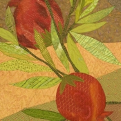Pomegrante