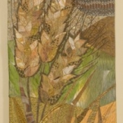 Wheat
