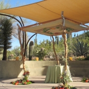 chupah-in-situ