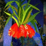 Crying Lillies