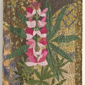Sublime Lupine