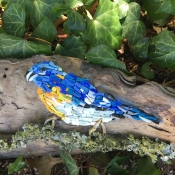 Indigo bunting (detail)