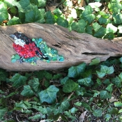 Robin in the bushes