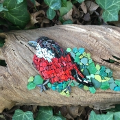 Robin in the bushes