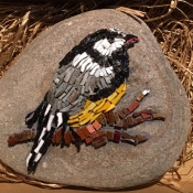 Chickadee