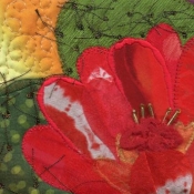 cactusred_b