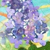 lilac_w