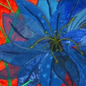 zoombloomblue_b