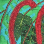 zoombloomtropicalred1_b