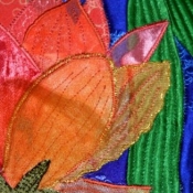 zoombloomtulip_b